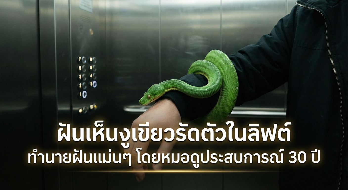 ฝันเห็นงูเขียวรัดตัวในลิฟต์ ทำนายฝันแม่นๆ โดยหมอดูประสบการณ์ 30 ปี
